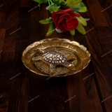 Tortoise in Plate | Vastu | Career