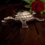 Tortoise | Vastu | Career