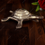 Tortoise | Vastu | Career