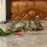 Brass Dhokra Medium Frog - Set of 2