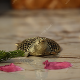 Brass Dhokra Net Tortoise