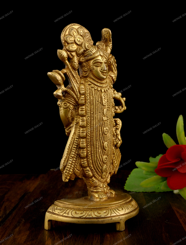 Brass Shrinath ji Idol