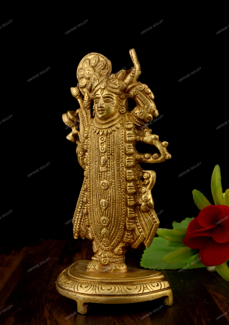 Brass Shrinath ji Idol