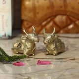 Brass Dhokra Medium Bull - Set of 2